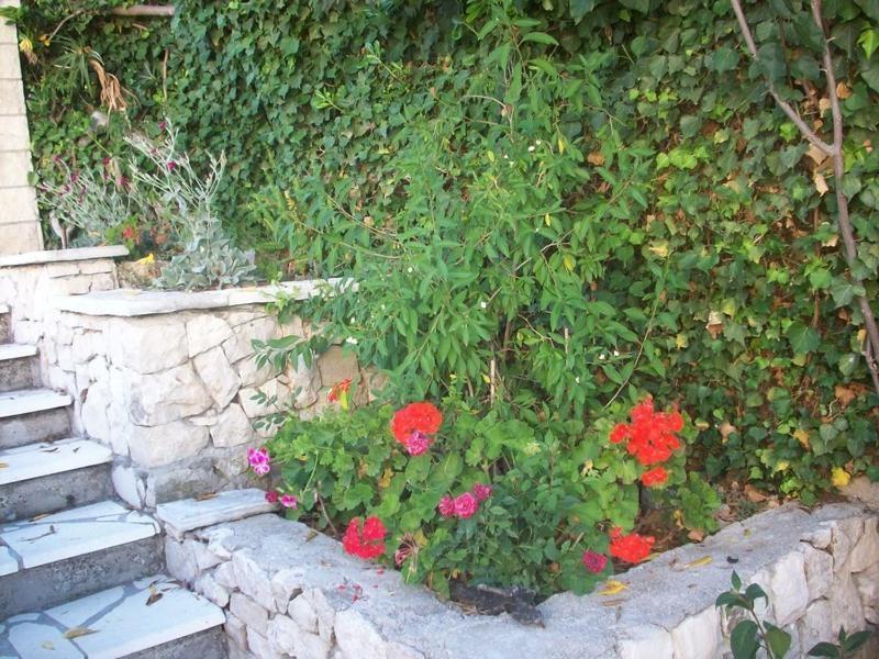 Apartments Tomovic ルンバルダ エクステリア 写真